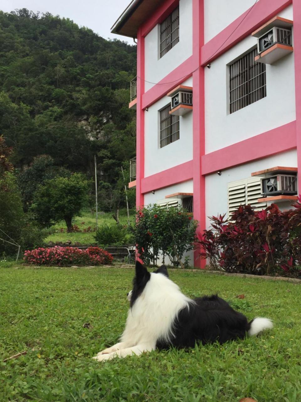 Moon B&B Wenquan Bagian luar foto